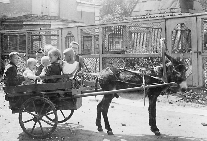 Ленинград во время блокады