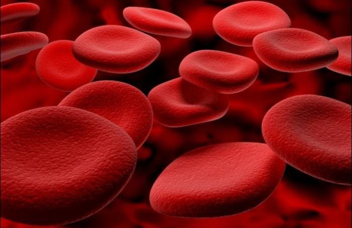 Интересные факты о крови