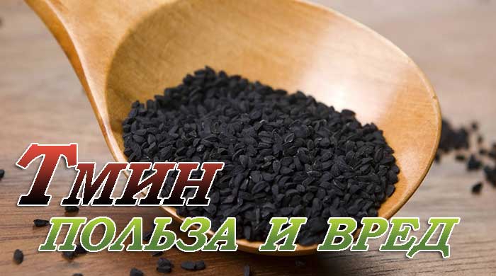 Масло черного тмина: польза и вред, применение