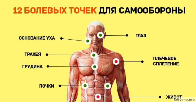 12 мифов о теле человека
