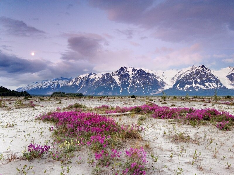 Аляска — красота, которую мы потеряли.