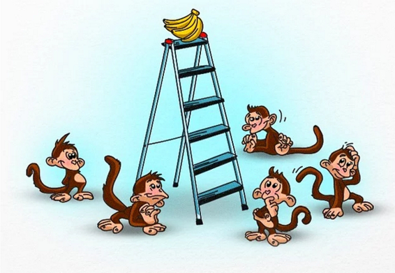 Формирование общества: эксперимент с обезьянами