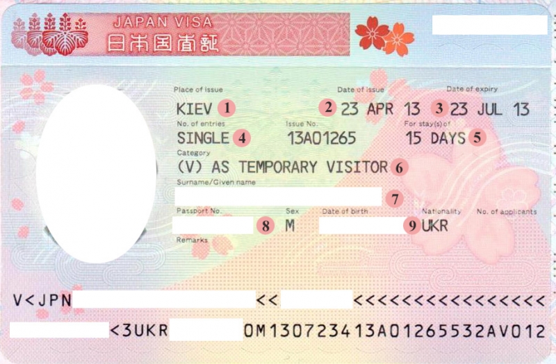 Иностранцы, желающие стать россиянами, получат визы для въезда в страну — юридические советы