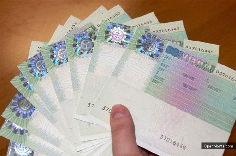 Иностранцы, желающие стать россиянами, получат визы для въезда в страну — юридические советы