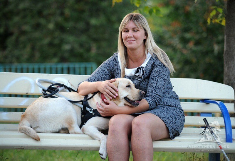 Инвалиды по зрению смогут взять на занятия собаку-поводыря — юридические советы