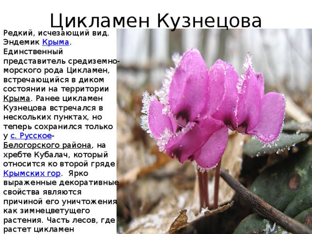 Растения кавказа, черноморского побережья и крыма