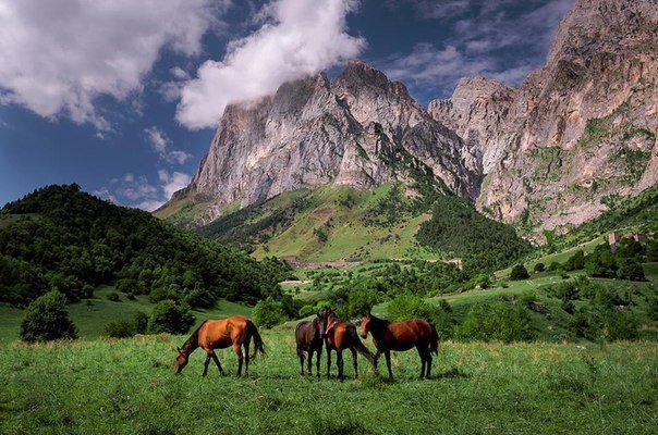 Удивительная гора ингушетии – цей-лоам