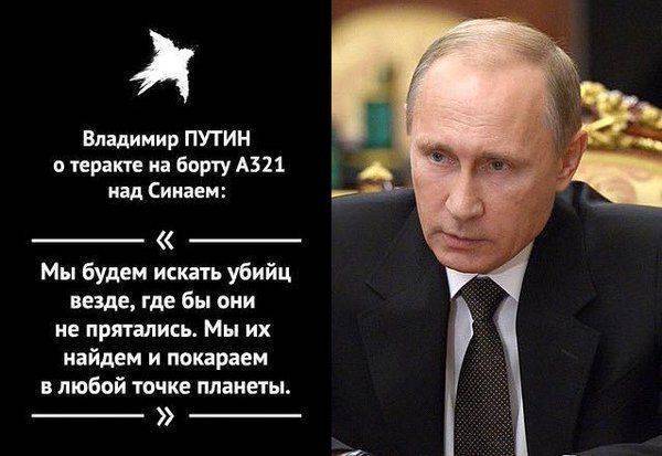 Владимир путин о теракте: «мы будем искать их везде…»