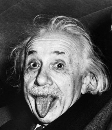 Загадка эйнштейна – уникальные факты
